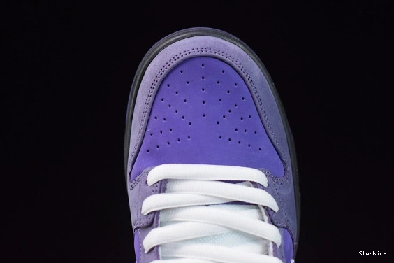 BV1310-555 Concepts Dunk Low SB Lobster Purple Nike 1008